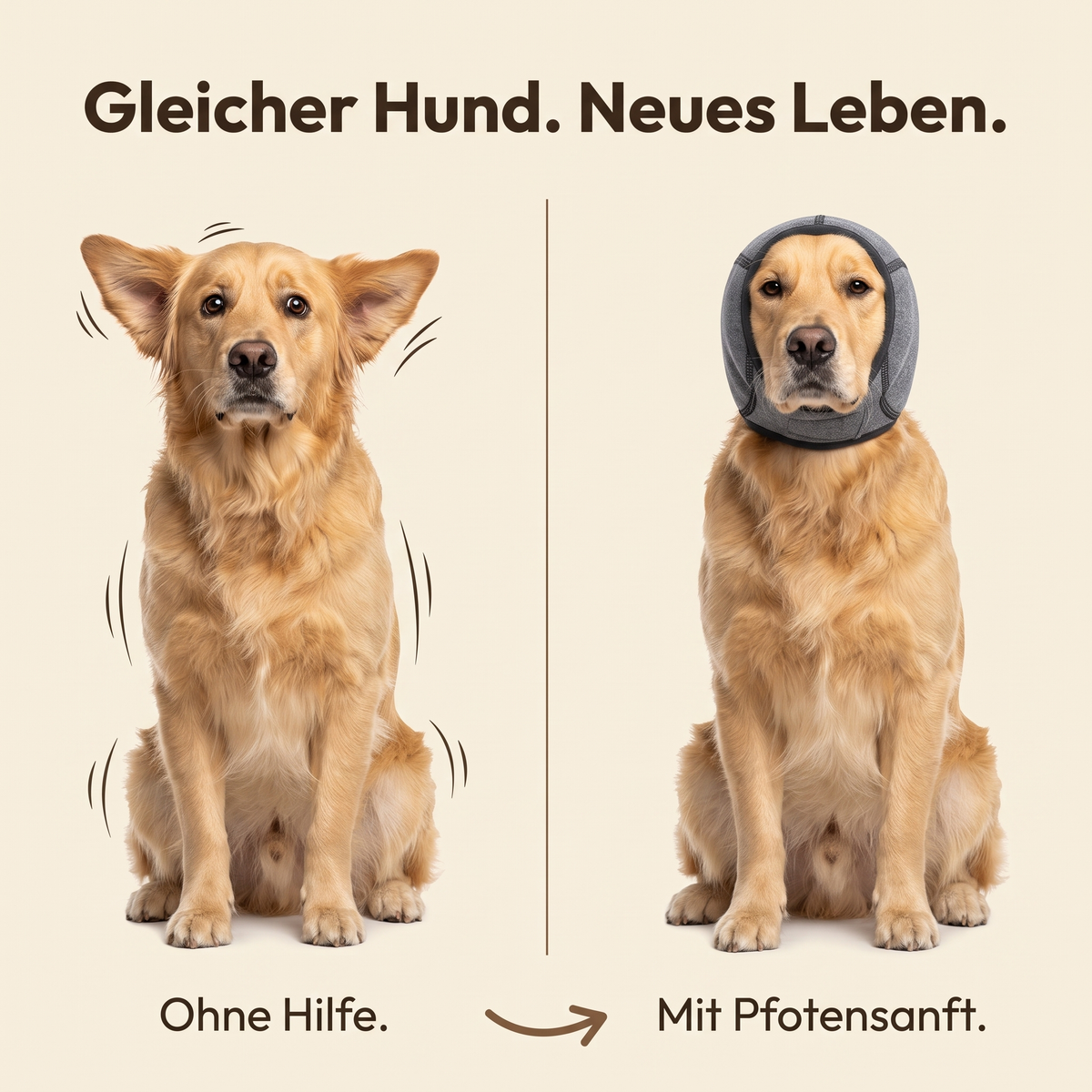 Pfotensanft Beruhigungshaube